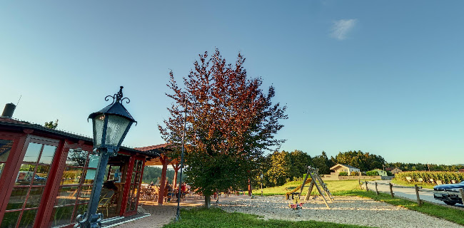 Opinii despre Gostinstvo, Pušn šank în Celje - Gastronomija in gostinstvo