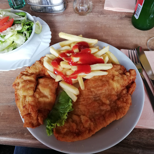 Opinii despre Gostilna Jaklič Peter Jaklič s.p. în Šentrupert - Gastronomija in gostinstvo