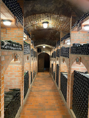 Opinii despre Dom penine, Radgonske gorice d.o.o. în Gornja Radgona - Gastronomija in gostinstvo