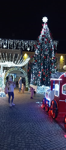 Opinii despre Mestna kavarna gostinstvo d.o.o. în Slovenj Gradec - Gastronomija in gostinstvo