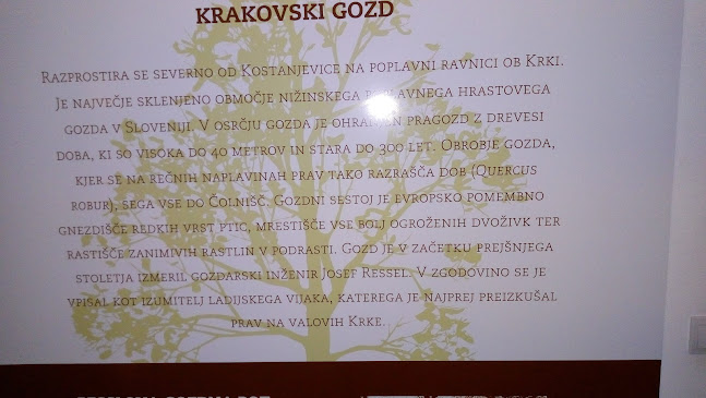 Gostilna Žolnir, gostinstvo, turizem in storitve, d.o.o.