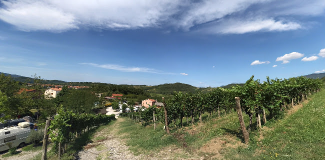 Saksida, wine & camping resort