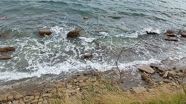 Comentarii opinii despre Punta Beach Bar