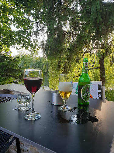 Comentarii opinii despre FN bar