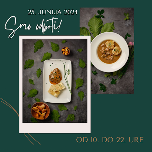 Mahovnik 90, 1330 Kočevje