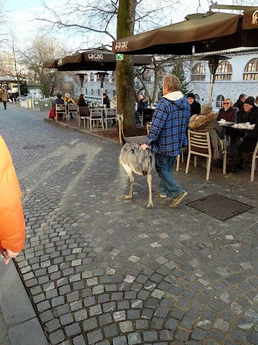 Petkovškovo nabrežje 21, 1000 Ljubljana