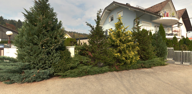 Comentarii opinii despre Gostilna Brinovc