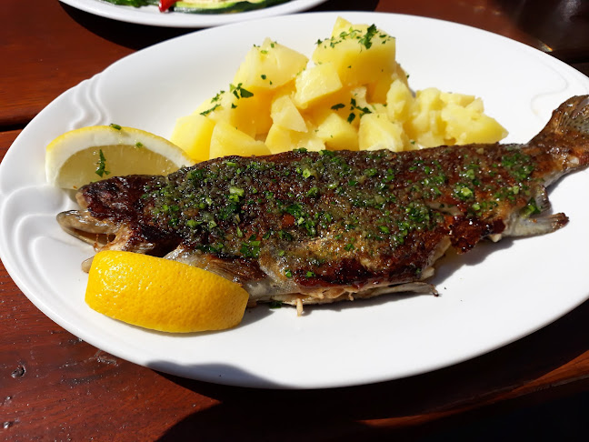 Comentarii opinii despre Metoja, gostinstvo, turizem in storitve Božo Bradaškja s.p.