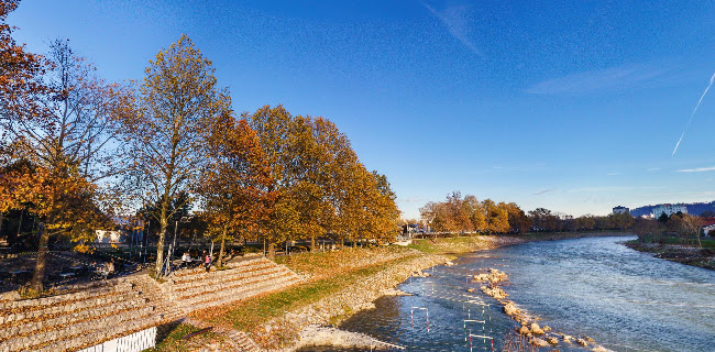 Opinii despre Kajak kanu klub nivo Celje - Pizzeria Špica în Celje - Gastronomija in gostinstvo