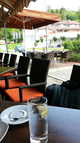 Okrepčevalnica Vienna, Džemail Džemaili s.p. - Gastronomija in gostinstvo