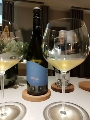 Šentjanž 14, 8297 Šentjanž