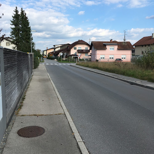 Opinii despre Gostinska dejavnost Li Chao s.p. în Domžale - Gastronomija in gostinstvo