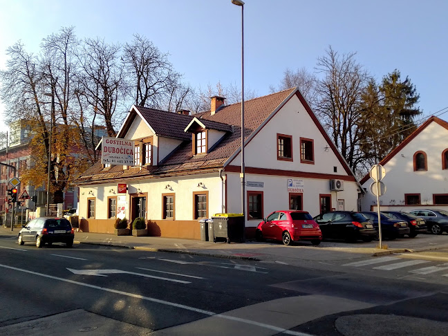 Comentarii opinii despre Gostilna Dubočica