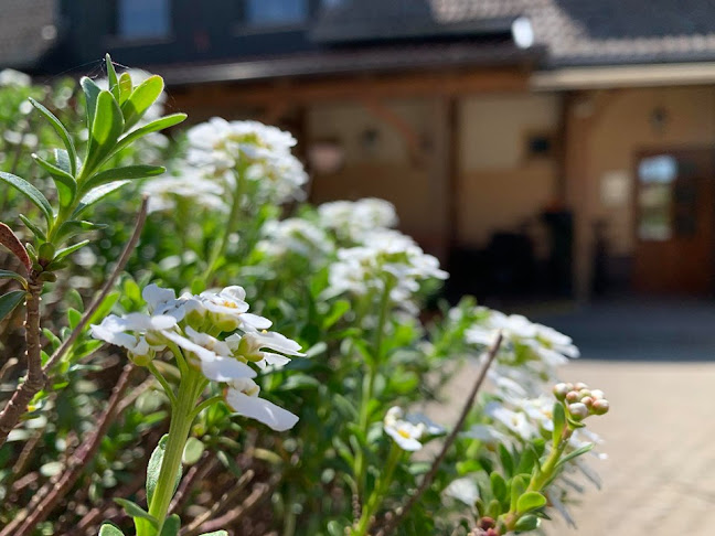 Gostilna in prenočišča Laterna, Natalija Madronič s.p.