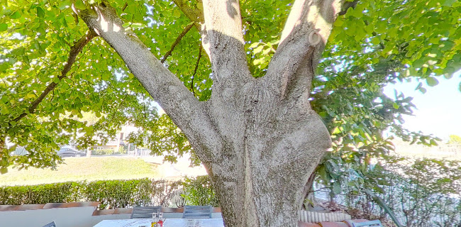 Okrepčevalnica VENI koper