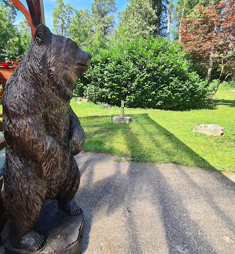 Comentarii opinii despre Gostilnica Falkenau