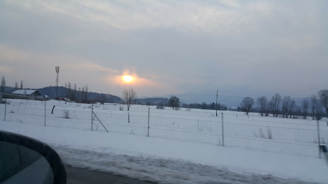 Opinii despre Mesnica, trgovina in posredništvo, Stanislav Pečko s.p. în Brezovica pri Ljubljani - Gastronomija in gostinstvo