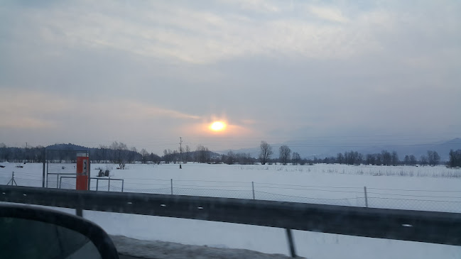 Mesnica, trgovina in posredništvo, Stanislav Pečko s.p.