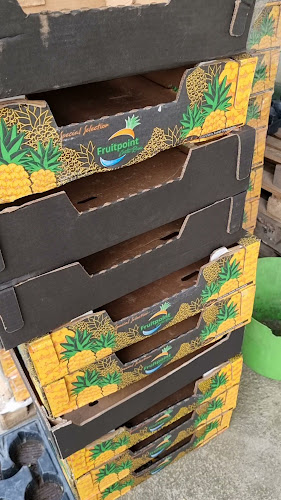 Cesta Urške Zatlerjeve 1, 1000 Ljubljana