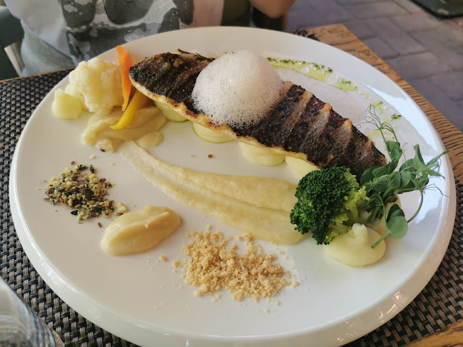 Restavracija Sova Bled - Gastronomija in gostinstvo
