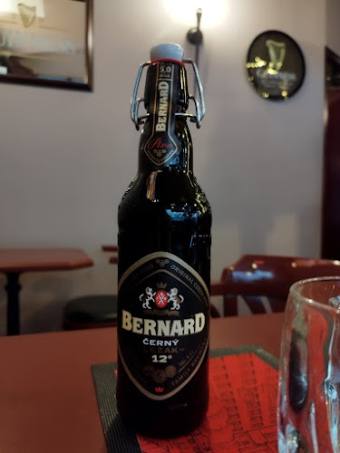 Comentarii opinii despre Pelikan Pub