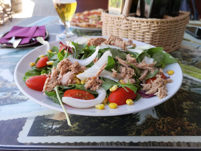 Pizzeria Gallus - Gastronomija in gostinstvo