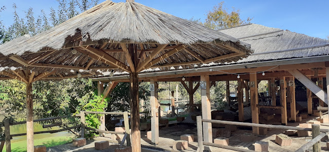 Opinii despre Tochka beach bar în Krška vas - Gastronomija in gostinstvo