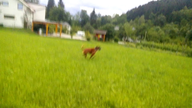 Farm Stay Rotovnik - Plesnik