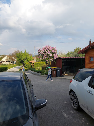 Comentarii opinii despre Tandem bar