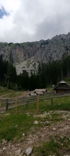 Opinii despre Koča na planini Dolga njiva în Tržič - Gastronomija in gostinstvo
