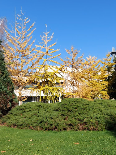 Rudarska cesta 6a, 3320 Velenje