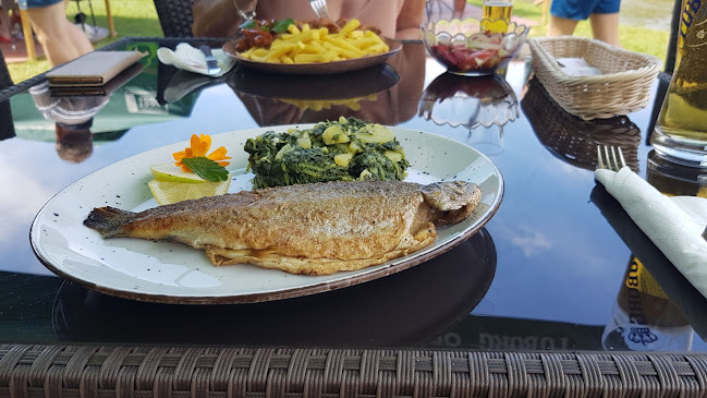 Opinii despre Koren gostinstvo in turizem în Žužemberk - Gastronomija in gostinstvo