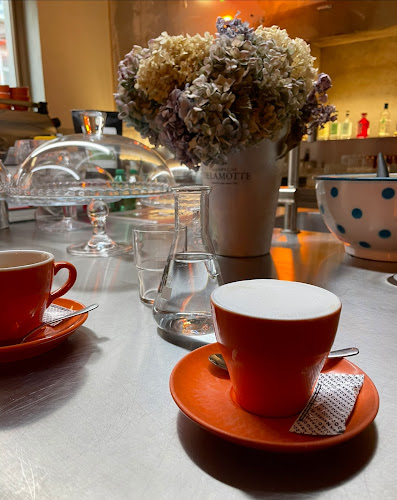 Comentarii opinii despre Tozd