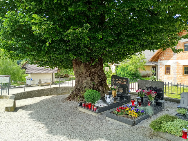 Comentarii opinii despre Gostilnica Slatnik Klavdija Luzar s.p.