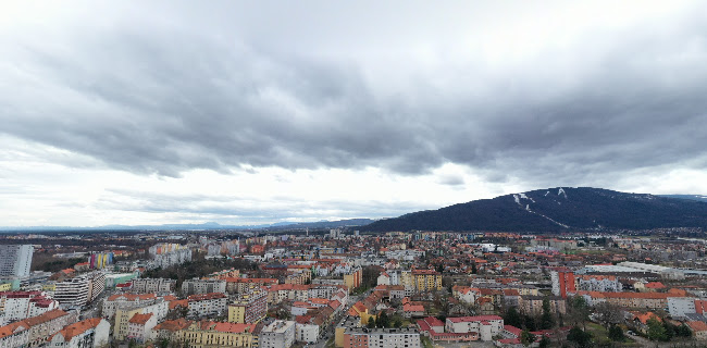 Gostilnica Stara Trta - Ljubljana
