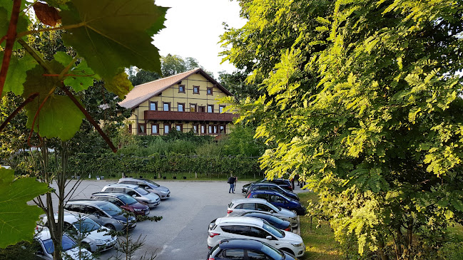 Hercegovščak 41, 9250 Gornja Radgona