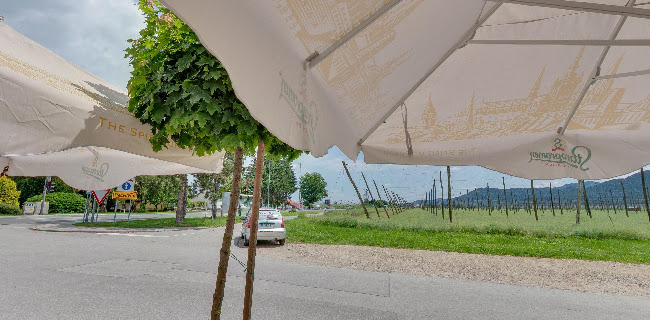 Gostilna in pizzerija Maestro - Gastronomija in gostinstvo