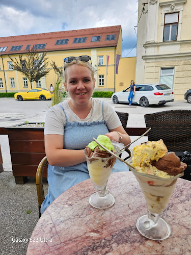 Trg Izgnancev 5, 8250 Brežice