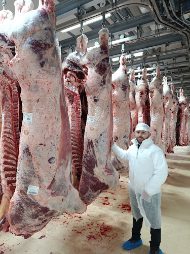 Ižanska cesta 43, 1000 Ljubljana