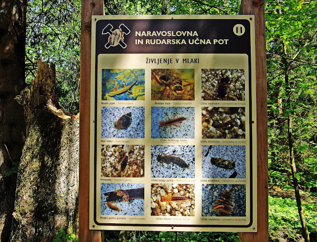 Dom Pristava - Jesenice