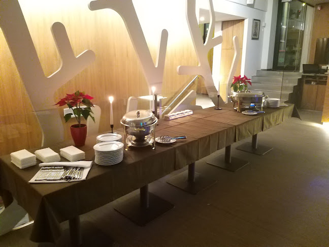 Comentarii opinii despre Plato