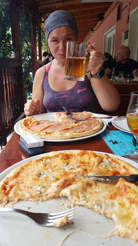 Comentarii opinii despre Gostilna pri Mostu,Gostinstvo,Valentin Tahiri s.p.