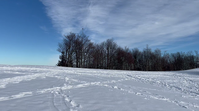 Lisca - Gastronomija in gostinstvo