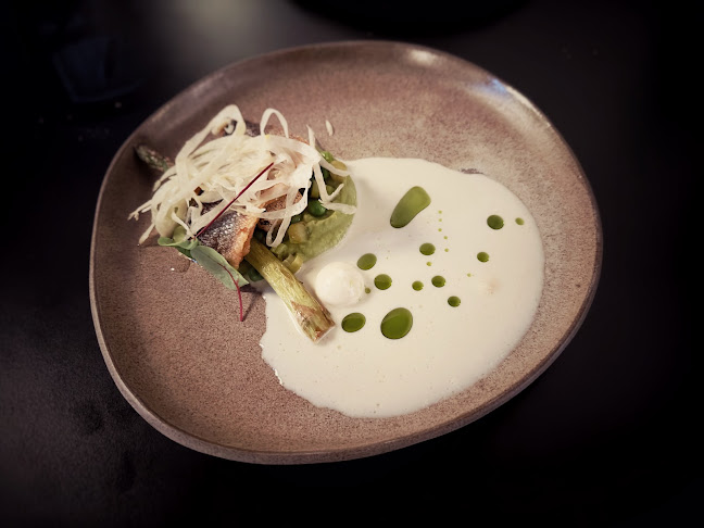 Comentarii opinii despre Landerik