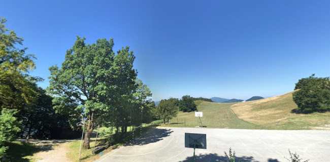 Lisca - Gastronomija in gostinstvo