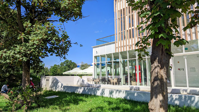 Opinii despre Baraka Bar în Ljubljana - Gastronomija in gostinstvo