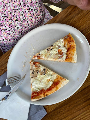 Comentarii opinii despre Aviopub