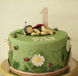 Jagode & Dinozavri, izdelava tort in druge storitve, Mateja Dobravec s.p. - Tolmin