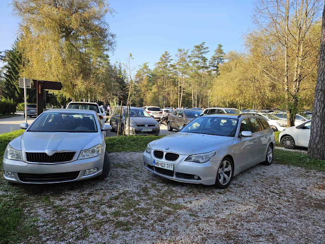 Šobčeva cesta 29, 4248 Lesce