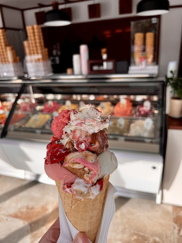 Lastovka pri SERŠ-u - Maribor